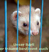 unser Brli .. er trumt bestimmt auch....